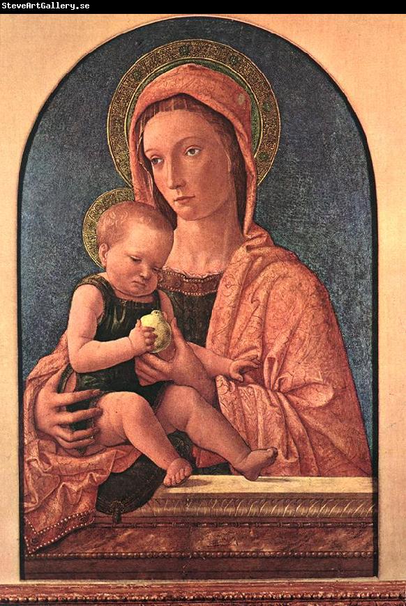 BELLINI, Giovanni Madonna and Child du7